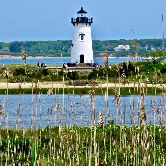 Martha's Vineyard Pillow