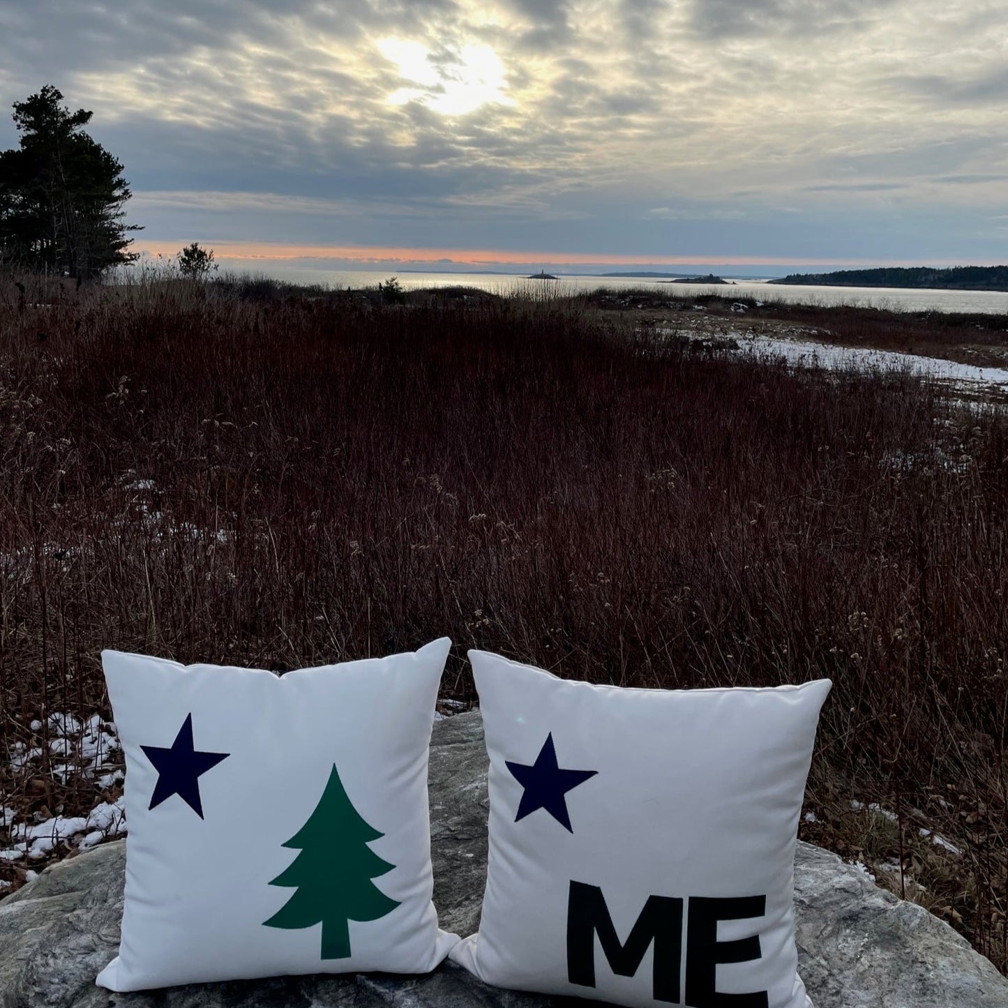 State of Maine ME pillow